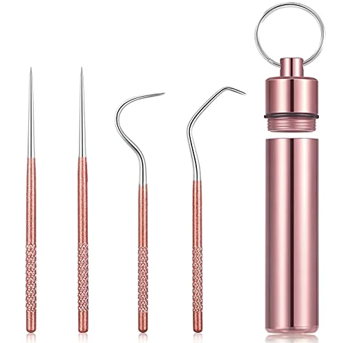 Portable Titanium Toothpicks Pocket Set Reusable Metal Stainless Steel Toothpicks with Holder for Outdoor Picnic and Camping