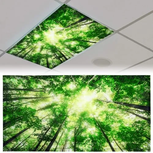 4x2 Feet Light Covers for Classroom, Magnetic,Forest