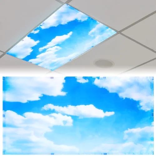 4x2 Feet Light Covers for Classroom, Magnetic,Cloud