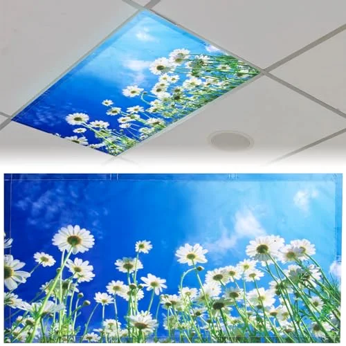 4x2 Feet Light Covers for Classroom, Magnetic,Chamomile